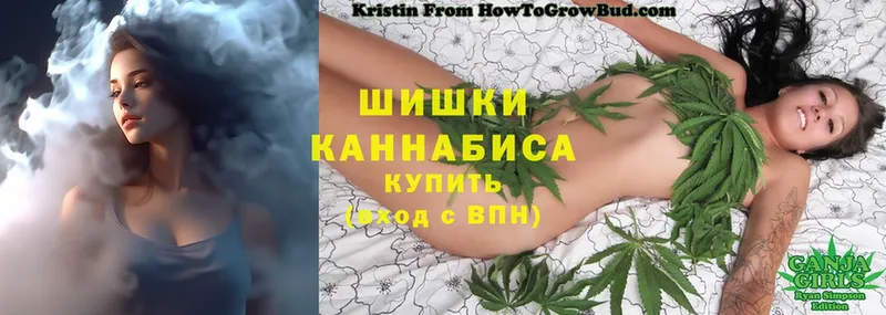 Шишки марихуана SATIVA & INDICA  ссылка на мегу зеркало  Венёв  где купить  